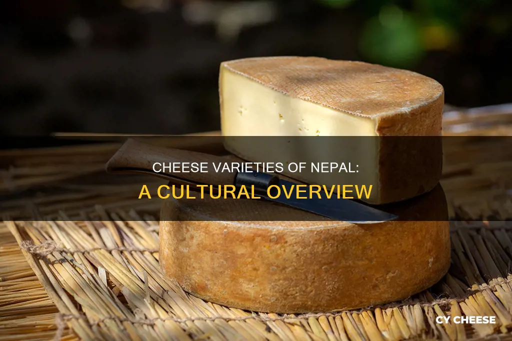 what kind of cheese is made in nepal