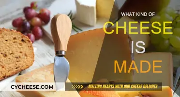 Cheese-Making: A Guide to Varieties and Their Creation