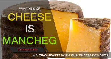 Manchego Cheese: A Spanish Treat Explained