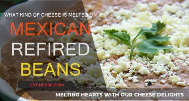 Cheese and Beans: Melty Toppings for Mexican Refried Beans