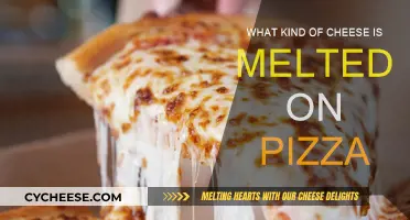 The Gooey, Cheesy Truth: Pizza's Melted Cheese Unveiled