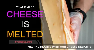 Melted Cheese: Exploring the Different Types and Their Uses