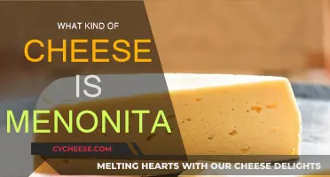 The Menonita Cheese: A Unique, Artisanal Mexican Treat