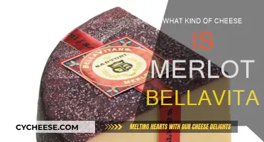 Merlot Bellavitano: A Unique Blend of Cheese and Wine