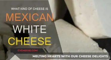 Unraveling the Mystery of Mexican White Cheese