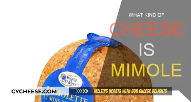 Mimolette Cheese: A Unique, Edible, Bright-Orange Delicacy