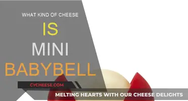 The Mystery of Mini Babybell: What Cheese is it?