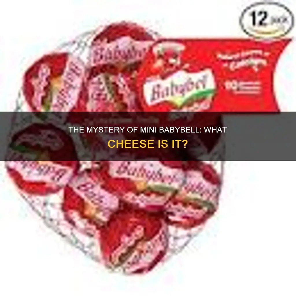 what kind of cheese is mini babybell