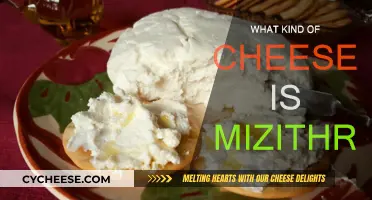 Mizithra Cheese: A Traditional Greek Delicacy Explained