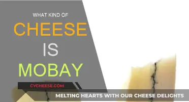 Exploring Mobay Cheese: A Unique, Flavourful Experience