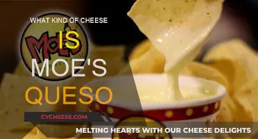 Moe's Queso: A Cheesy Delight with a Mystery Twist