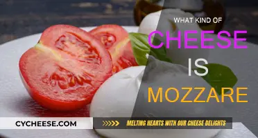 Mozzarella Cheese: Its Types, Taste, and Uses