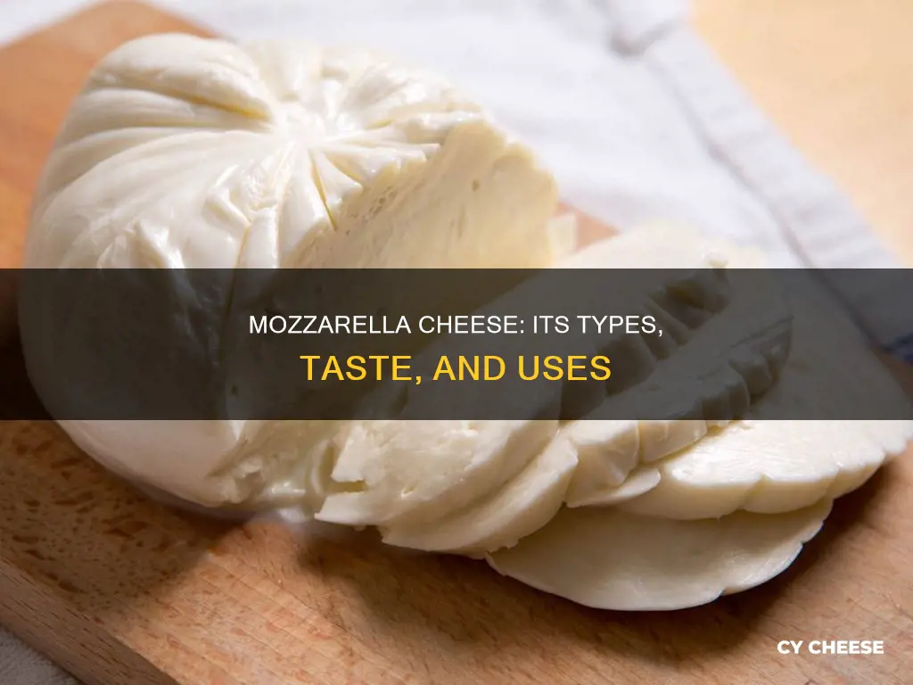 what kind of cheese is mozzarella