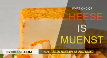 Muenster Cheese: A Soft, Mild, and Buttery Delicacy