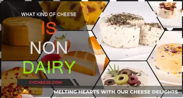 Non-Dairy Cheese: Exploring Vegan Alternatives