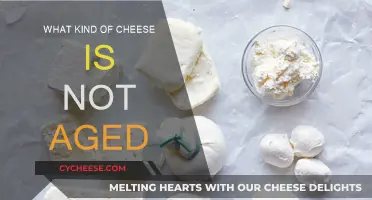 Fresh Cheeses: Unaged Delicacies for the Dairy Enthusiast