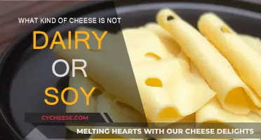 Vegan Cheese: Dairy-Free, Soy-Free Delights