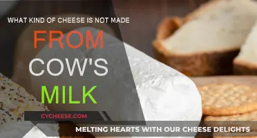 Cheese Exploration: Beyond Cow's Milk