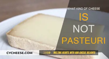 Unpasteurized Cheese: What Varieties Are Safe to Eat?