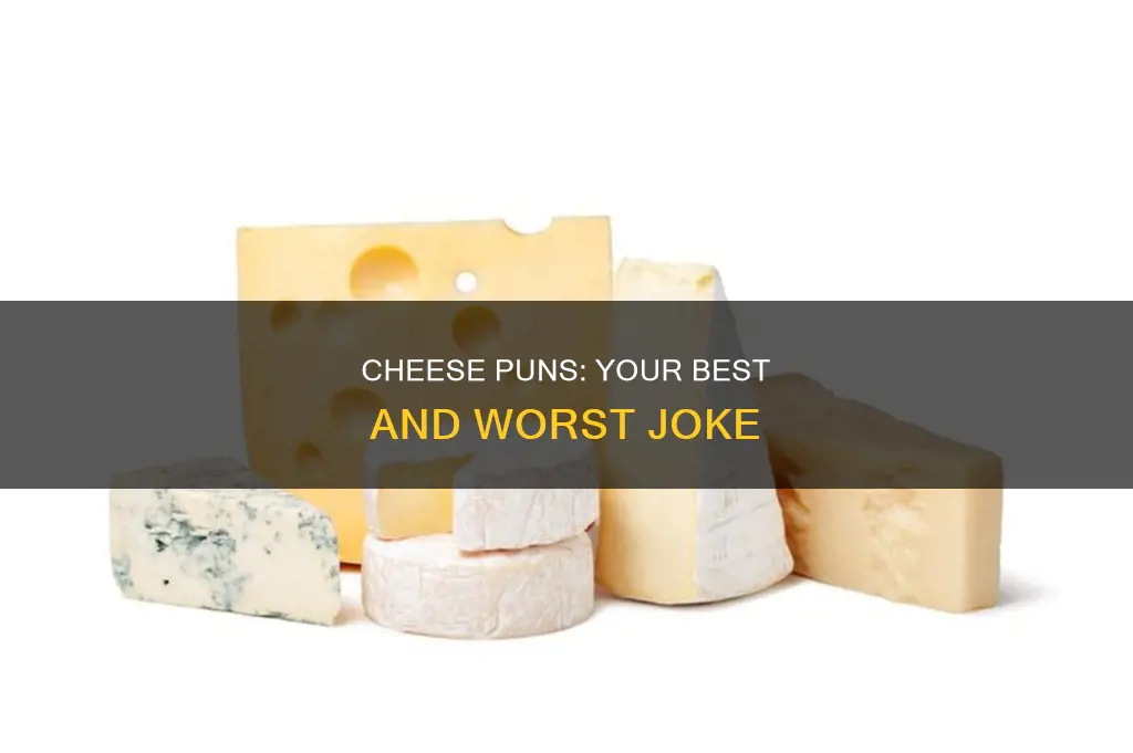 what kind of cheese is not your cheese joke