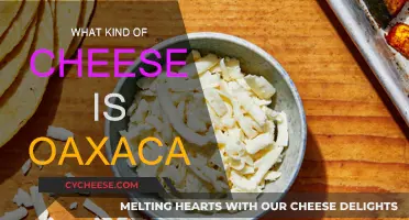 Oaxaca Cheese: A Stringy, Melty Mexican Treat