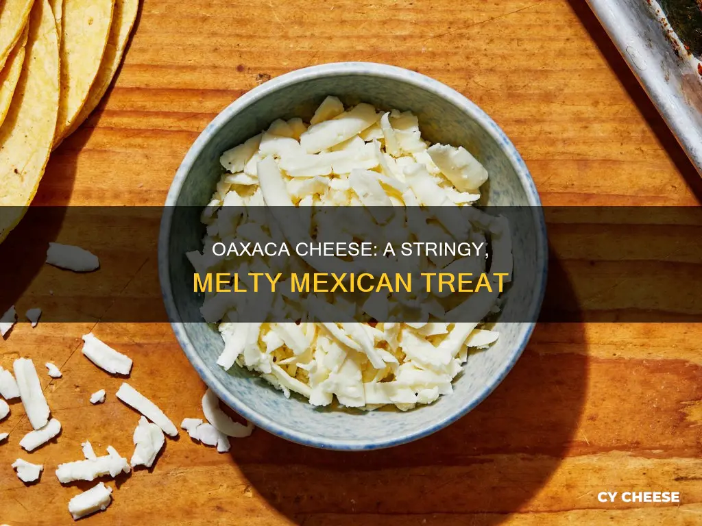 what kind of cheese is oaxaca