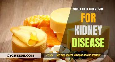 Cheese and Kidney Disease: What's Safe to Eat?