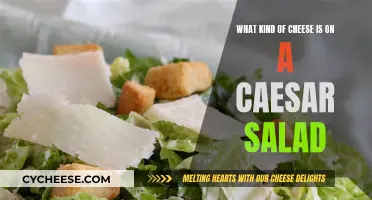 The Cheese on a Classic Caesar Salad