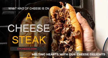 Cheese Steaks: Melty, Gooey, Cheesy Goodness Explained