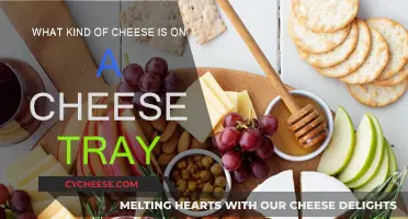 Cheese Tray Delights: Exploring Varieties and Flavors