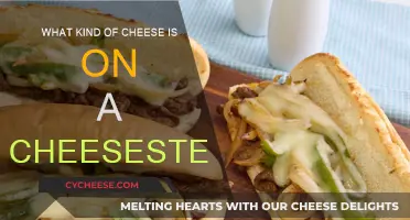 Cheesesteak 101: What Cheeses Make the Cut?