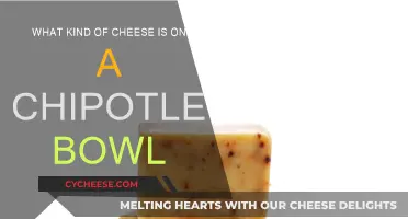 Chipotle Bowl Cheese: What's the Cheesy Secret?