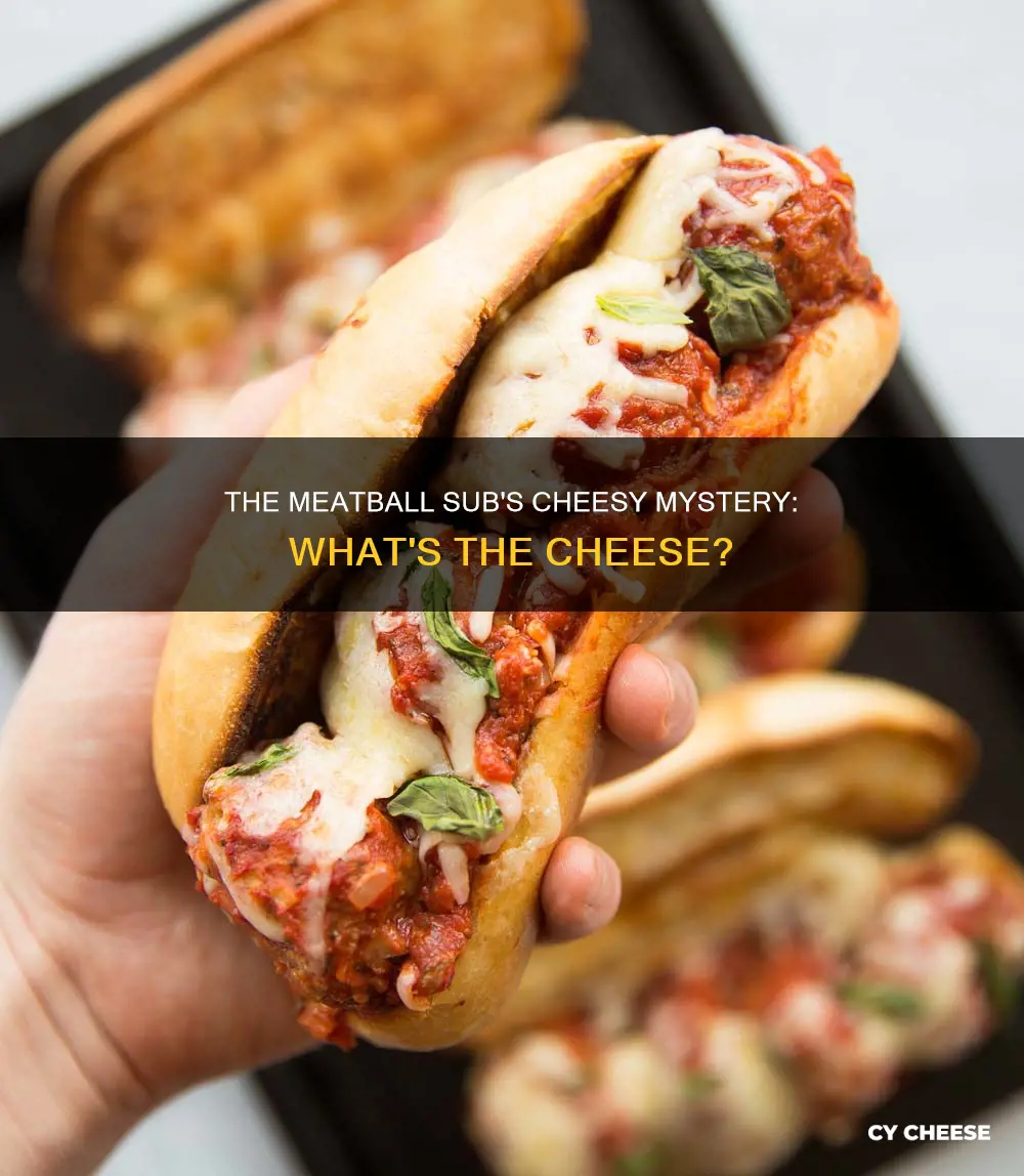 what kind of cheese is on a meatball sub