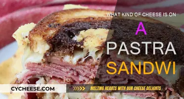 The Perfect Pastrami: Cheesy Secrets Revealed