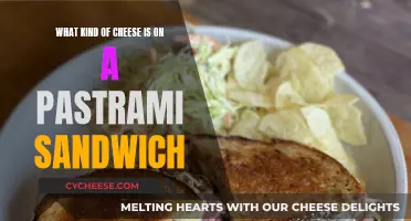 Pastrami Sandwich: What's the Best Cheese to Use?