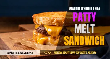 Cheese Choice for Patty Melt Perfection