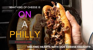 The Cheesy Truth About Philly's Signature Sandwich Filling