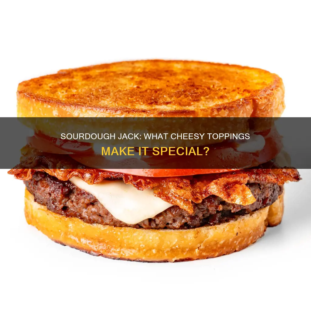 what kind of cheese is on a sourdough jack