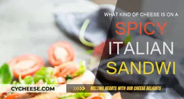 The Spicy Italian: Cheese Secrets Unveiled