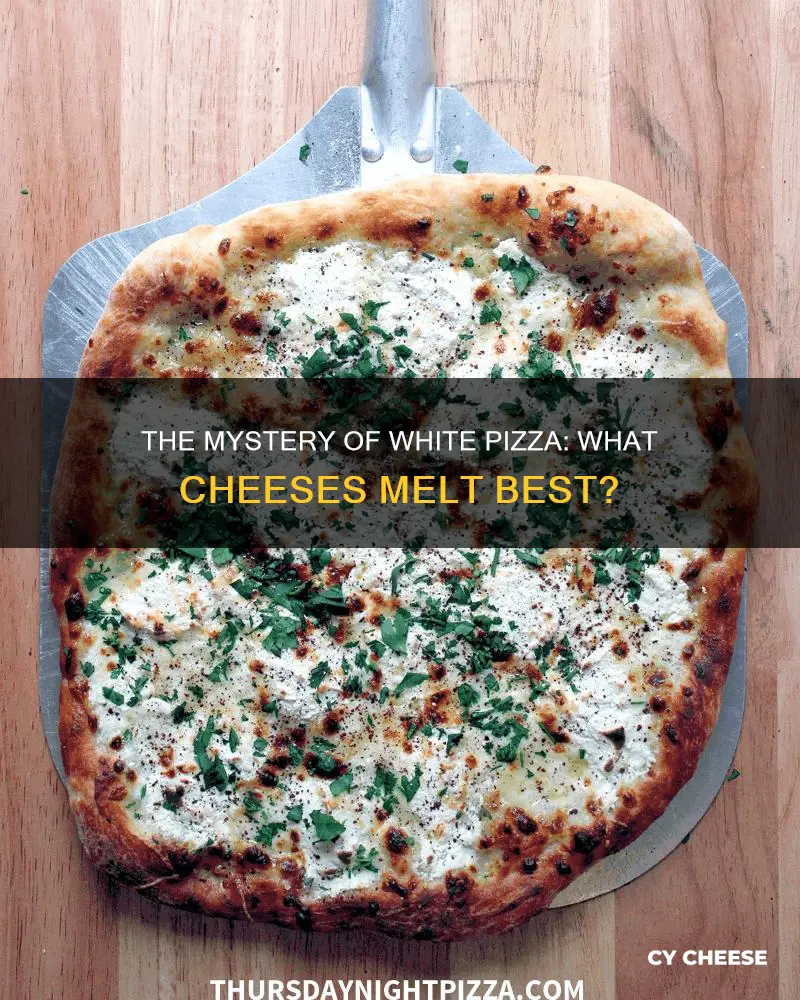 what kind of cheese is on a white pizza