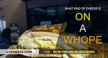 Whopper's Cheese: What's the Secret Ingredient?