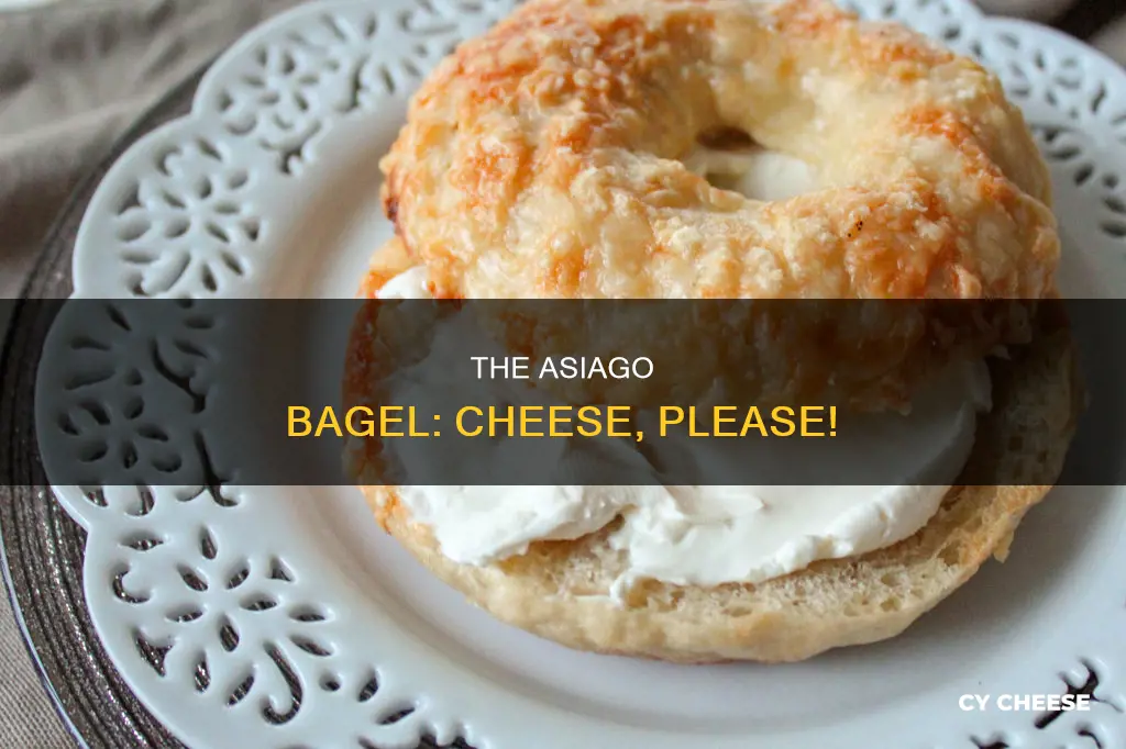 what kind of cheese is on an asiago bagel