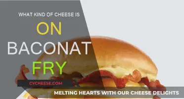 Cheese and Bacon: The Ultimate Baconator Fry Combo