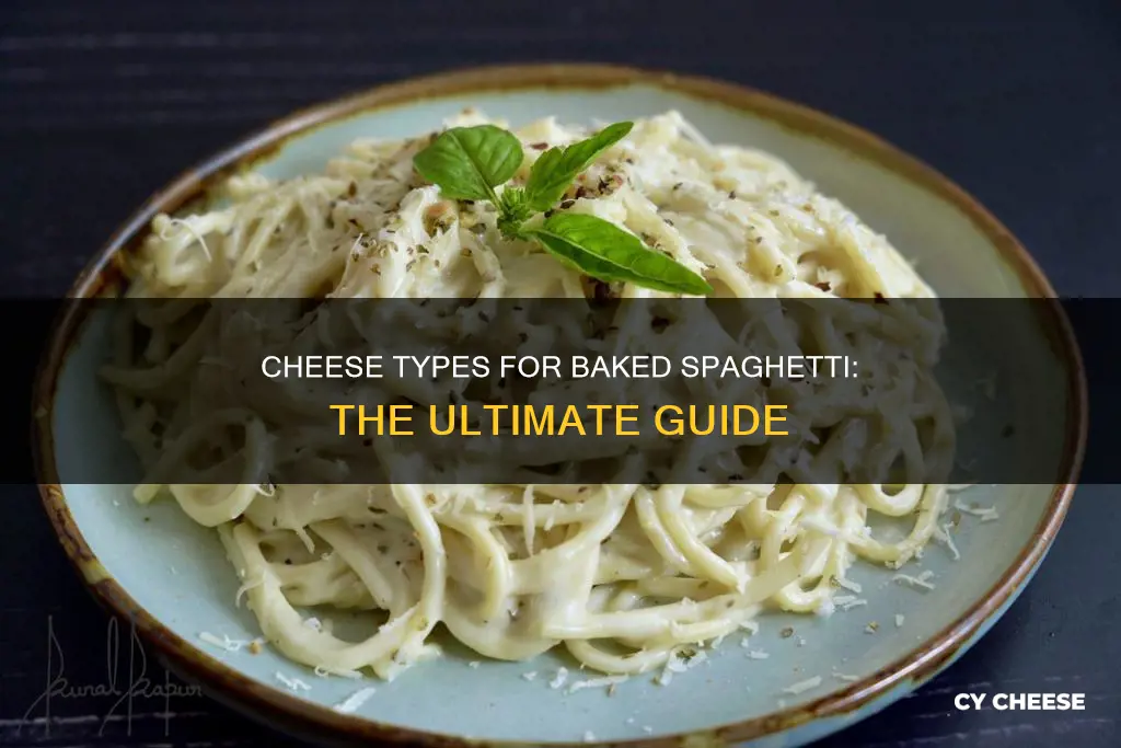 what kind of cheese is on baked spaghetti