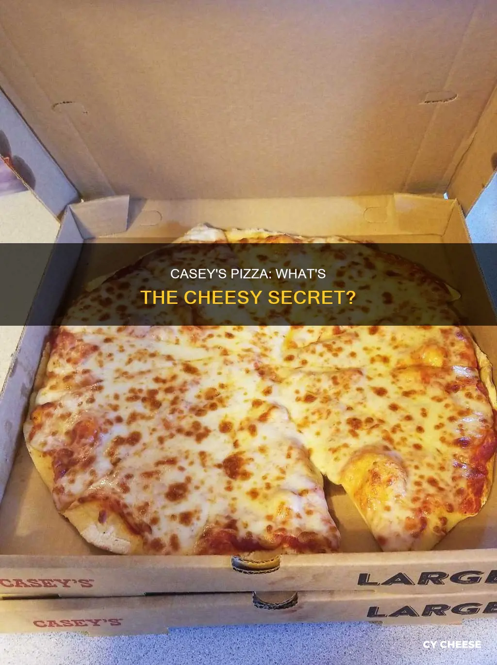 what kind of cheese is on casey