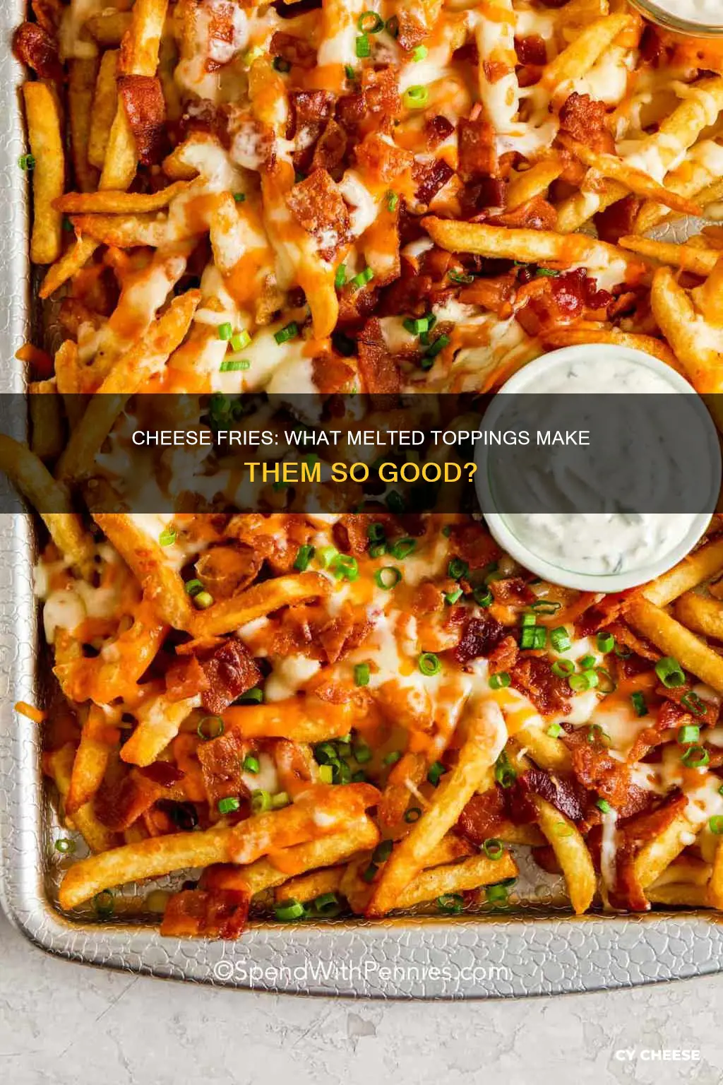 what kind of cheese is on cheese fries