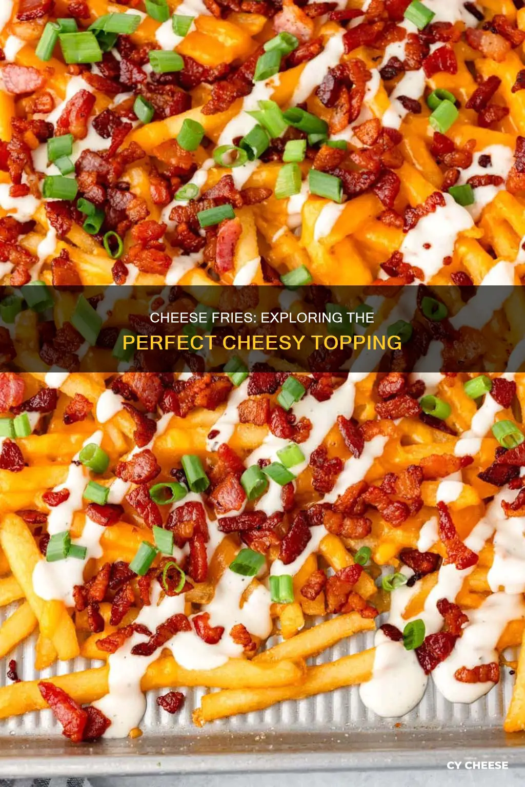 what kind of cheese is on cheese fries