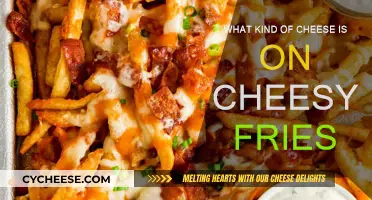 Cheesy Fries: What Melted Toppings Make Them So Delicious?