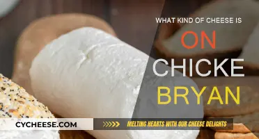 Chicken Bryan: Unraveling the Cheese Mystery