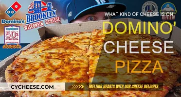 Domino's Cheese Pizza: What's the Secret Cheese?